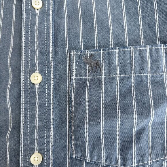 Abercrombie & Fitch Mens Muscle Shirt Button Down Moose Pinstripe M Blue - Picture 7 of 8